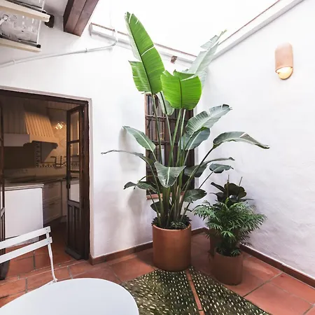 Casa Arroyo De San Andres Cordoba